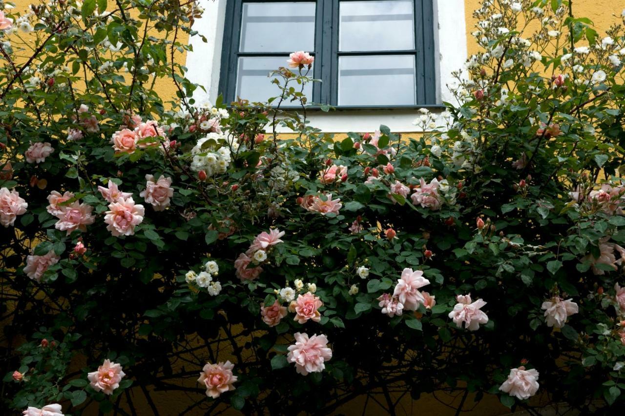 Bed and Breakfast Marienschloessl Wiedendorf Zewnętrze zdjęcie