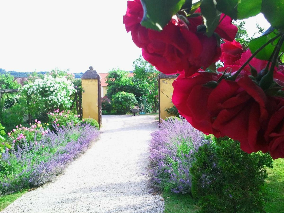 Bed and Breakfast Marienschloessl Wiedendorf Zewnętrze zdjęcie